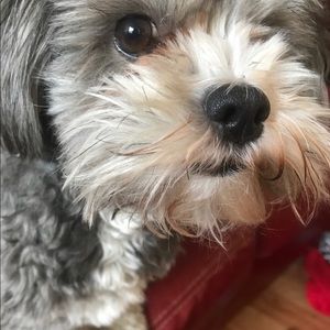 Meet your Posher, Jackson